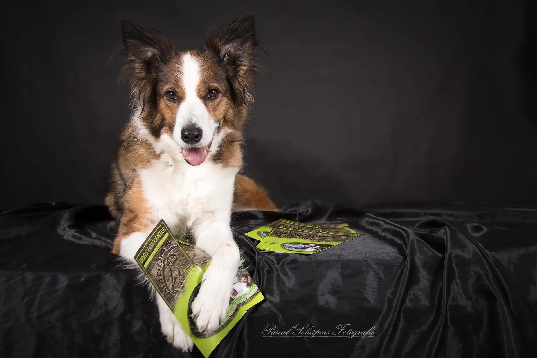 Hundeschule Iserlohn, Impressum